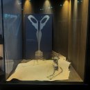 아하바안경원 이미지