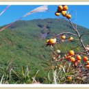 우곡마을입구 이미지