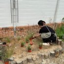 혜인2농장 이미지