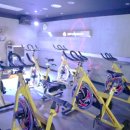 스포벡휘트니스 이미지