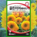 골든파머