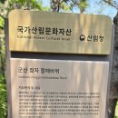 선유도보건지소 | 군산 장자도-대장도-선유도-무녀도, 부안 채석강 여행