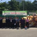 창녕읍사무소 이미지