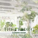[Venue] 영등포 웨딩홀 더베르G 계약 후기