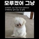 없음 이미지