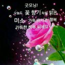 기분좋은하루 이미지