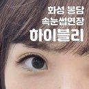 하이블리 이미지