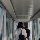 프라다 | 프라다 리나일론 백팩 후기｜카리나 애착템, 실용성 좋은 명품 백팩 리뷰