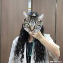 노랑머리 | 노랑머리 미용실 히피펌 5개월 후기