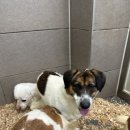 쇄운주유소 이미지