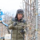 김정도 농장 이미지