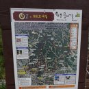원주 굽이길지킴이 지원과 제6코스 장구봉길 1차 도전 실패기 (새벽시장 ~ 구룡고개 전)