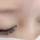 연예인 뷰티샾