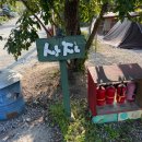 단풍숲캠핑장 이미지