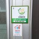 초록별펜션 | 자연내음이 가득한 대청도 펜션/숙소 초록별펜션 추천~!