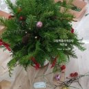 유평초교병설 이미지