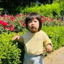 대전청사 다솜어린이집 이미지