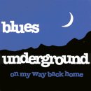 Blues Underground- St James Infirmary 이미지