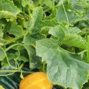 봉정농장 이미지