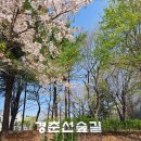 경춘선숲길.화랑대역공원 | 화랑대역 경춘선숲길 화랑대 철도 공원 주차장 철길따라 힐링산책로 봄나들이