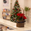 벨피부과의원 이미지