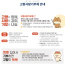 탐나는재주 | 고향사랑 e음 제주도 10만원 기부했던 후기