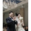 김태우 | 호텔 수성 아이비홀 본식 스냅 계약 후기 _김태우 포토 (With 노벨라스냅/혼네스튜디오/담필름)