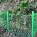 댕댕이집 이미지