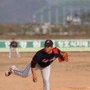 이글스 이미지