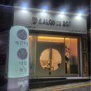 살롱드 207 이미지