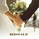 종로-종로-종로-종-285 | [Wedding] 결혼 준비의 모든 것!
