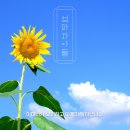 강미루 이미지