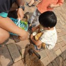 한길타조농장 | 파주 우농타조농장 , 아이와가볼만한곳 동물먹이주기체험 좋다