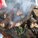 개미 농장 이미지