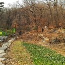 이순신 묘 이미지