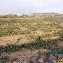 파스타한장 이미지