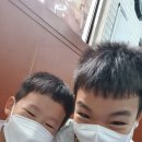 금빛발차기태권도장 이미지