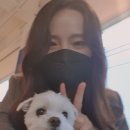 이노디테일링 이미지