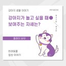 플레이 바우 이미지