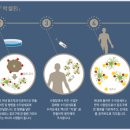 동경메디칼(주) 네이버블로그