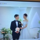 W22. &lt;까미유스냅&gt; 본식 스냅 셀렉 후기/추가금 방어 성공