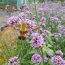 새벌농장 이미지