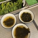 한국민속촌 외부화장실 | 용인 장어 한국 민속촌 근처 맛집 풍천나루 재방문 후기