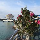 마량 미항 이미지