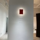 [패스포토] 강남역사진관 || 강남 프로필 촬영 || 강남 여권 사진 ||강남역 스튜디오