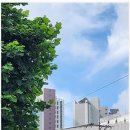 신길공인중개사사무소 이미지