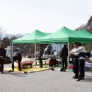 함양조망공원(상) 이미지