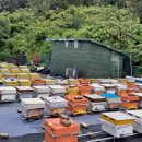 유밀농장 이미지