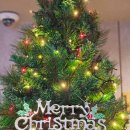 블루힐 호텔 이미지