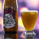 속초교동맥주
